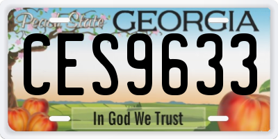GA license plate CES9633