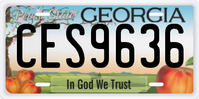 GA license plate CES9636