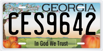 GA license plate CES9642