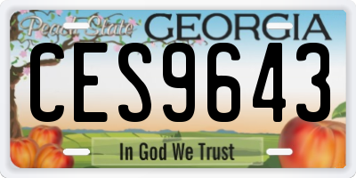 GA license plate CES9643