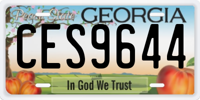GA license plate CES9644