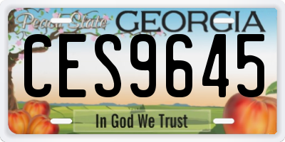 GA license plate CES9645