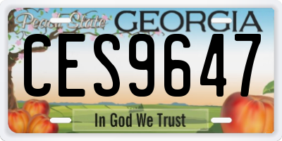 GA license plate CES9647
