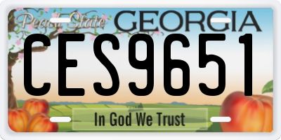 GA license plate CES9651