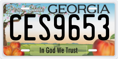 GA license plate CES9653