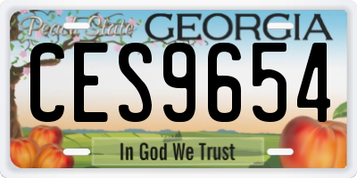 GA license plate CES9654
