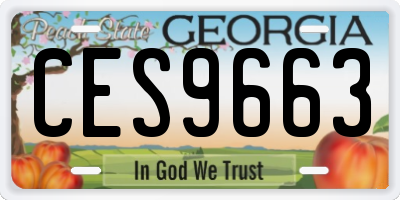 GA license plate CES9663