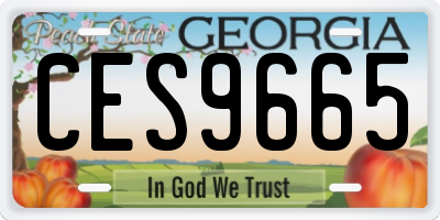 GA license plate CES9665
