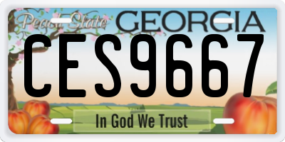 GA license plate CES9667