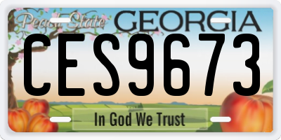 GA license plate CES9673