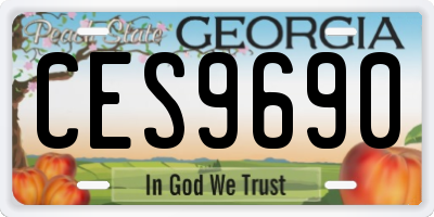 GA license plate CES9690