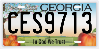 GA license plate CES9713