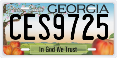 GA license plate CES9725