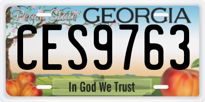 GA license plate CES9763
