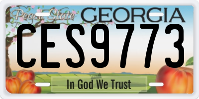 GA license plate CES9773