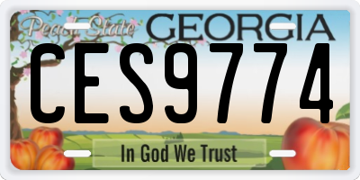 GA license plate CES9774