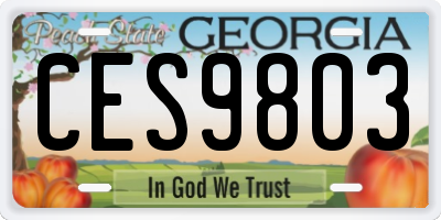 GA license plate CES9803