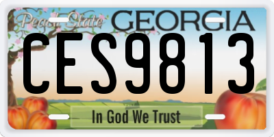 GA license plate CES9813