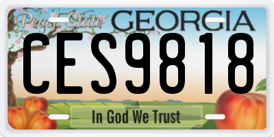 GA license plate CES9818