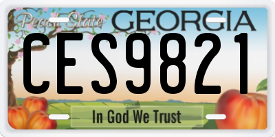 GA license plate CES9821