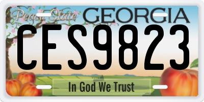 GA license plate CES9823