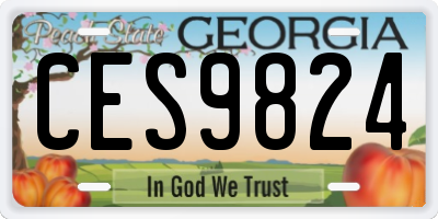 GA license plate CES9824