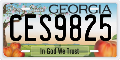 GA license plate CES9825