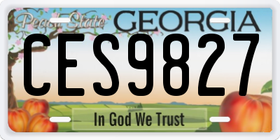 GA license plate CES9827