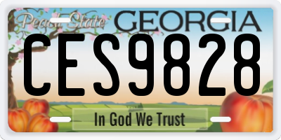GA license plate CES9828