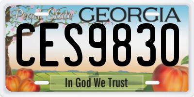 GA license plate CES9830