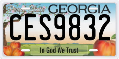 GA license plate CES9832