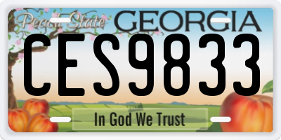 GA license plate CES9833
