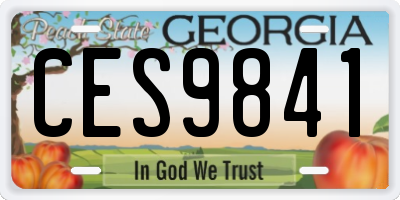 GA license plate CES9841