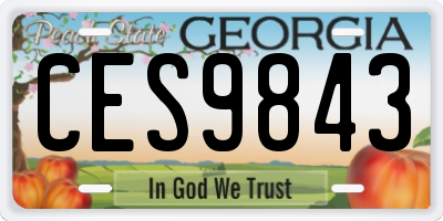 GA license plate CES9843