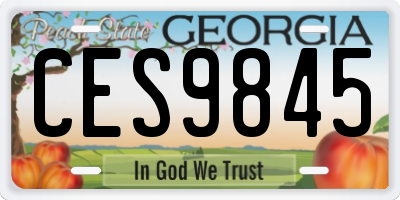 GA license plate CES9845