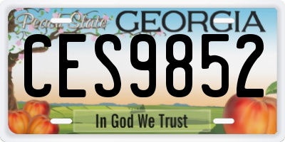 GA license plate CES9852
