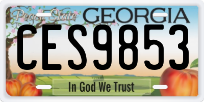 GA license plate CES9853