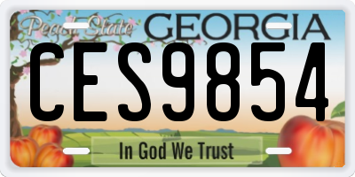 GA license plate CES9854