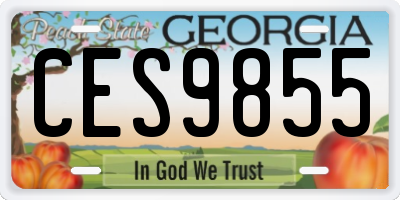 GA license plate CES9855