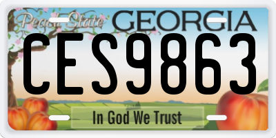 GA license plate CES9863