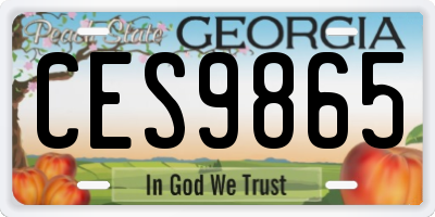 GA license plate CES9865