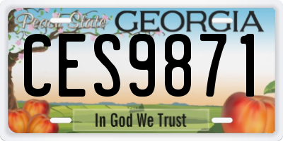 GA license plate CES9871