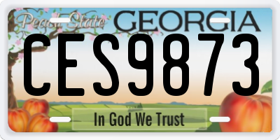 GA license plate CES9873