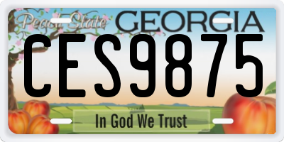 GA license plate CES9875
