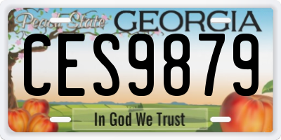 GA license plate CES9879