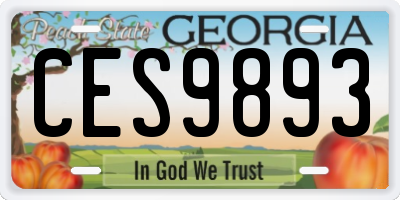 GA license plate CES9893
