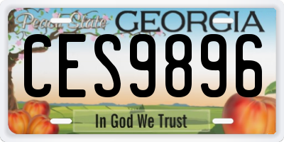 GA license plate CES9896
