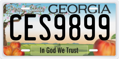 GA license plate CES9899