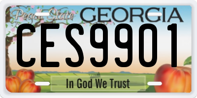 GA license plate CES9901