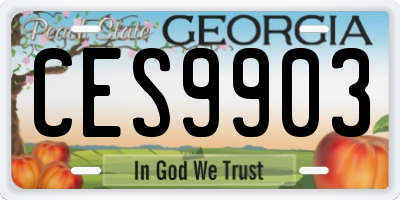 GA license plate CES9903
